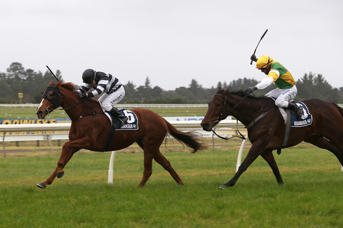 Rocknrolla - Photo: Trish Dunell