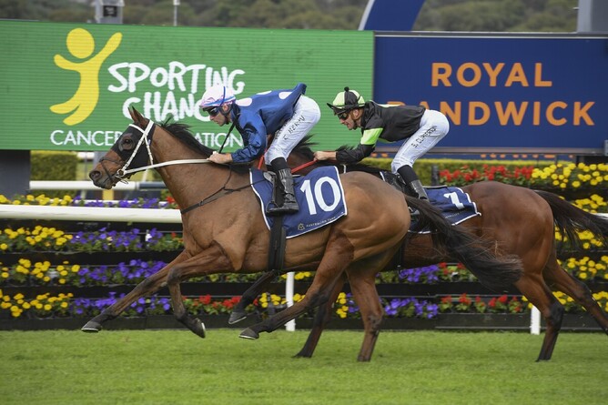 No Compromise winning at Randwick on Saturday. - Photo: Bradleyphotos.com.au
