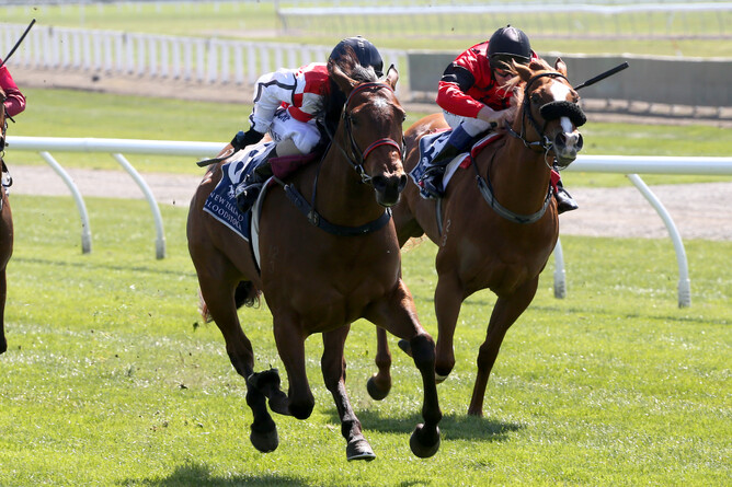 What Choux Want - Photo: Race Images South