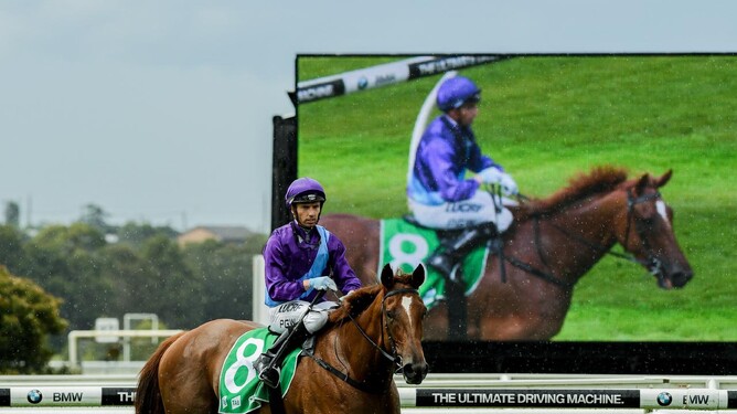 Lisdoonvarna heads to Randwick on Saturday. Photo: AAP