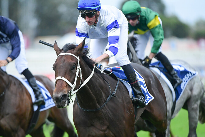 Kovalica winning the Gr.2 Queensland Guineas (1600m)  - Photo: Grant Peters