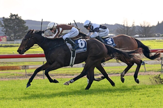 Levakia winning the ITM/GIB 3YO Winter Championship Final (1600m) at Ruakaka on Saturday. - Photo: Therese Davis