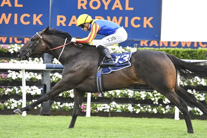 Po Kare Kare was a strong winner of Saturday’s Gr.3 Triscay Stakes (1200m) at Randwick - Photo: bradleyphotos.com.au