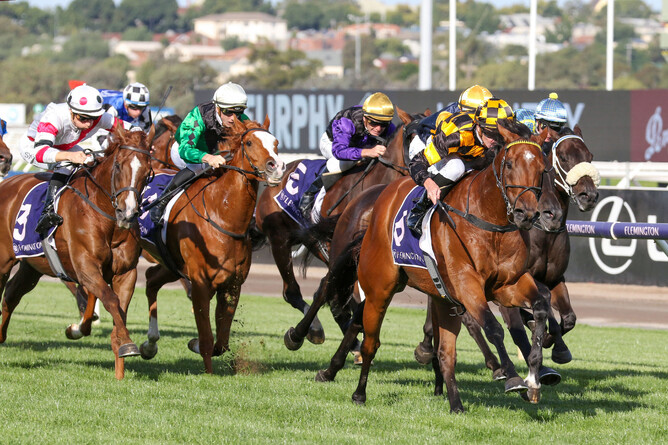 Not An Option heads the field home in at Flemington. - Photo: Bruno Cannatelli