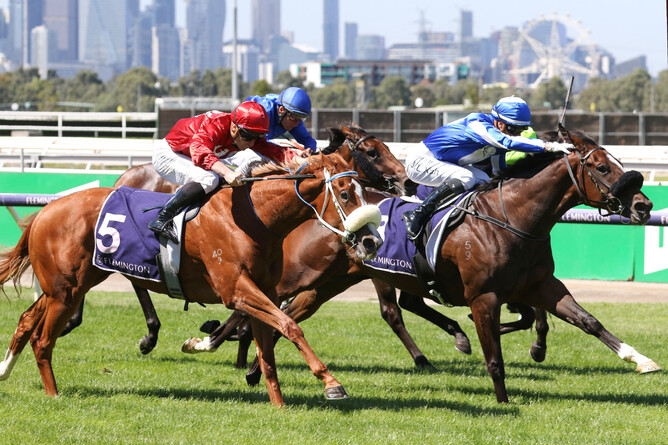 Ruthless Dame winning the Gr.3 TBV Thoroughbred Breeders’ Stakes (1200m) at Flemington. - Photo: Bruno Cannatalli