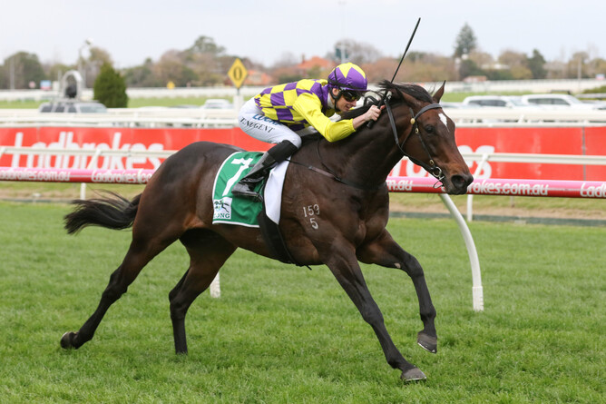 Asgard Massif cruising to victory in Melbourne on Saturday  - Bruno Cannatelli