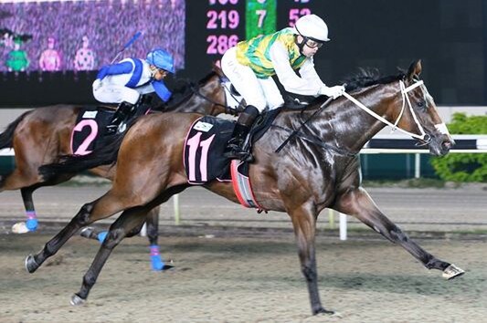 Photo: Singapore Turf Club