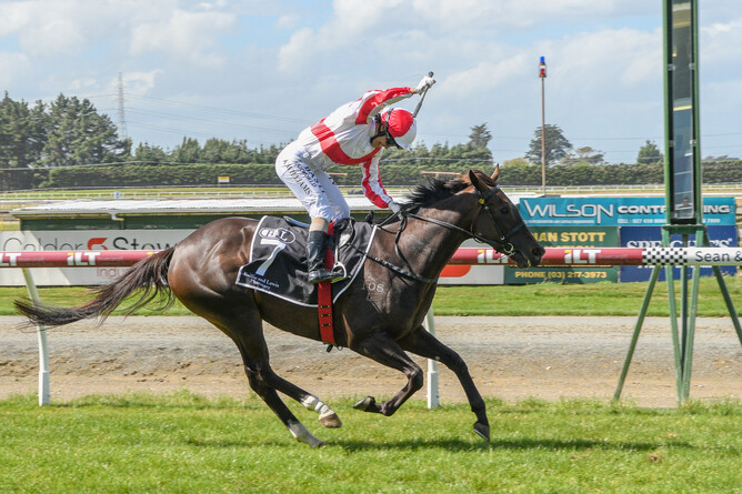 Global Thinking - Wild Range Photography