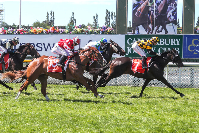 Group One winner Kahma Lass. - Photo: Race Images South