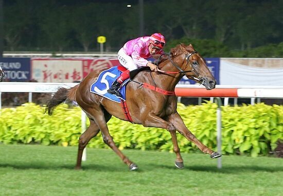 I'm Incredible winning in Singapore. - Photo: STC