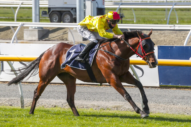 Mr Intelligence is well clear as he takes out the Listed Nautical Boat Insurance Metropolitan Trophy (2500m) at Riccarton - Race Images South