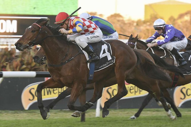 Manolo Blahniq - Bradley Photographers