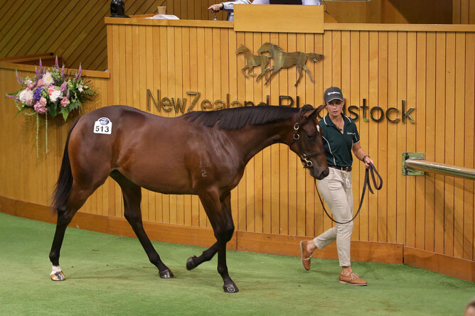 Lot 513, the Wootton Bassett filly who sold for $800,000 from the draft of Curraghmore. - Photo: Trish Dunell