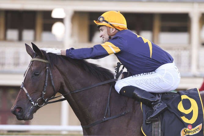 Tofane will reunite with Kiwi hoop Opie Bosson at Doomben on Saturday. - Photo: Bradleyphotos.com.au