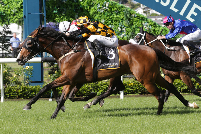 Snazzytavi (outside) narrowly defeated La Crique to take out the Gr.1 Cambridge Stud Zabeel Classic (2000m) on Boxing Day.  - Photo: Trish Dunell