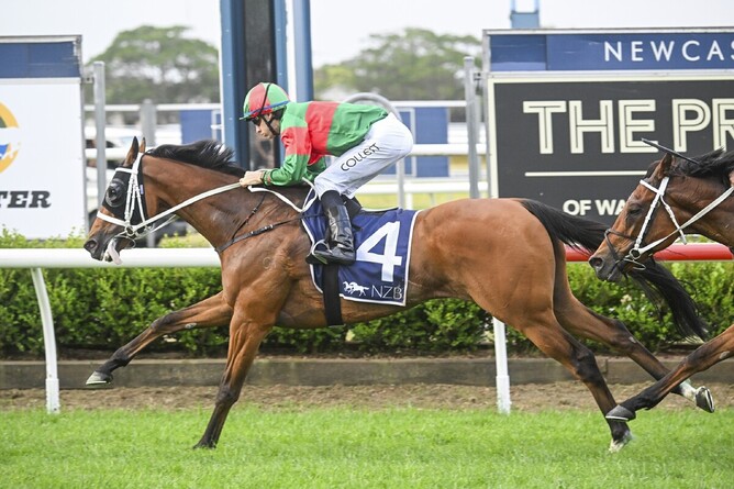 Asterix produced a strong performance to secure the victory in the A$300,000 NZB The Beauford (2300m) at Newcastle.   - Photo: Bradley Photos