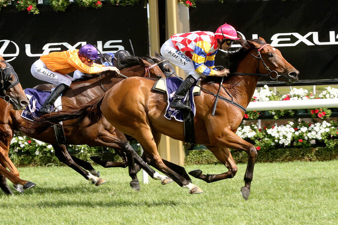 Manolo Blahniq stamps his All Star Mile credentials winning the Chester Manifold - Darryl Sherer