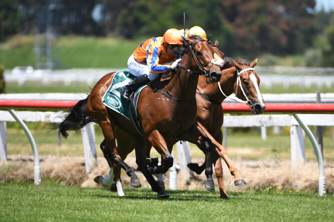 To Bravery Born winning at Te Rapa on Saturday. - Photo: Kenton Wright (Race Images)