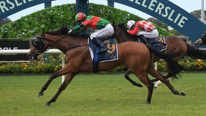 Asterix winning the Gr.2 Eagle Technology Avondale Cup (2400m) - Photo: Kenton Wright (Race Images)