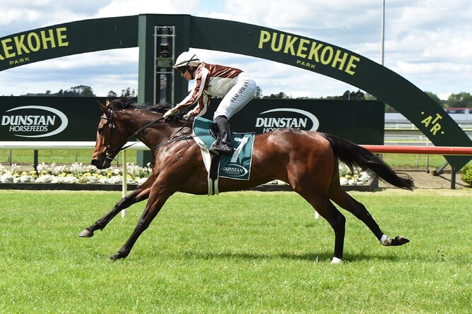 Levakia winning at Pukekohe Park on Wednesday. - Photo: Megan Liefting (Race Images)
