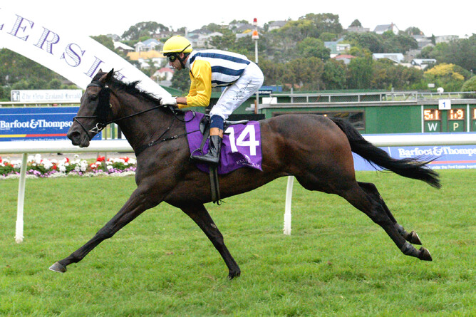 Provocative - Photo: Kenton Wright, Race Images