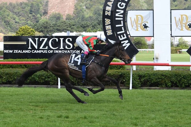 Group One performer Faraglioni has been retired to the broodmare paddock. Photo: Peter Rubery (Race Images Palmerston North)