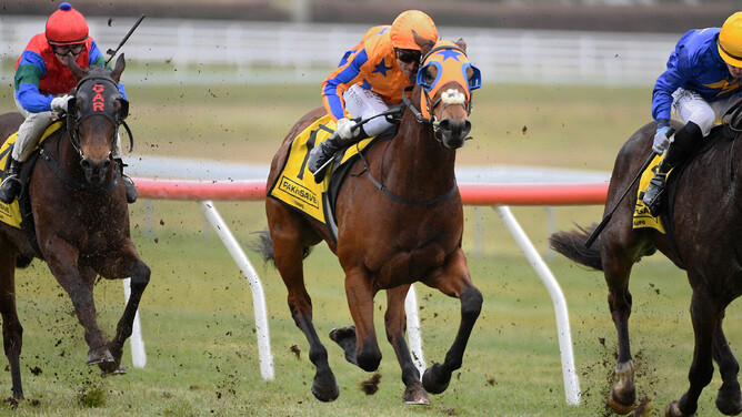 Opie Bosson guides To Bravery Born to a first-up victory at Taupo.Photo: Kenton Wright (Race Images