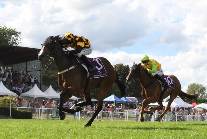 Snazzytavi winning at Matamata on Saturday.  - Photo: Kenton Wright (Race Images)