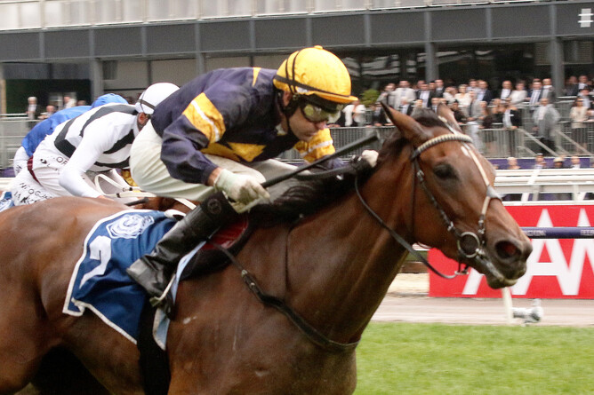 Tofane will contest the Gr.1 All Aged Stakes (1400m) at Randwick on Saturday. Photo: Darryl Sherer