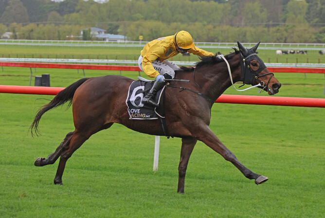 Danjuro winning at Otaki on Friday. - Photo: Peter Rubery (Race Images Palmerston North)