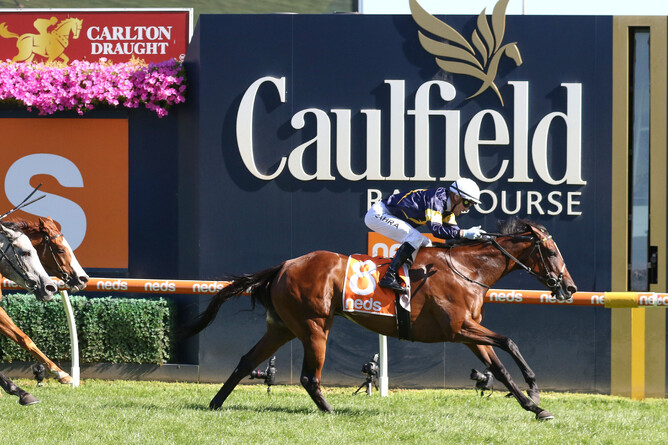Mark Zahra guides Tofane to her fourth Group One victory at Caulfield - Photo: Bruno Cannatelli