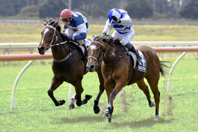 Loose Cannon - Kenton Wright - Race Images