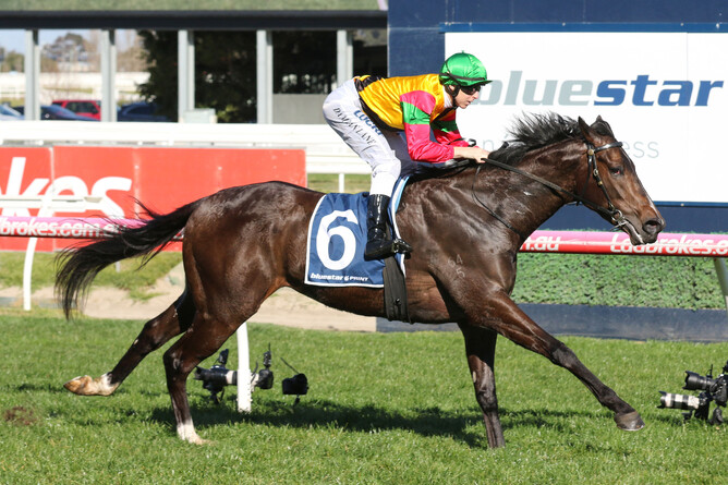 Age of Chivalry notched up career win number three with a front running performance at Caulfield - Bruno Cannatelli