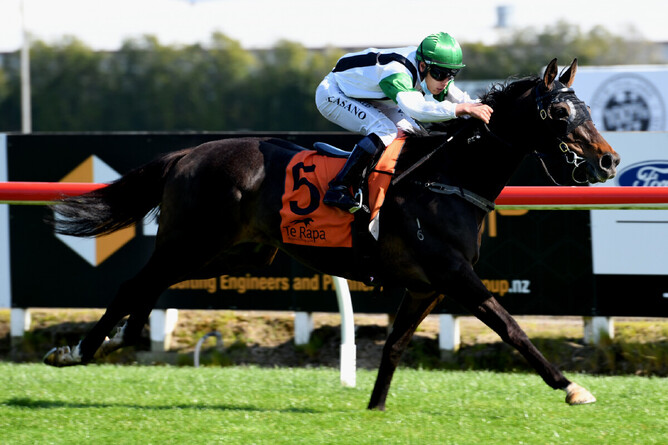 Rapid Falls gets an ambitious spring campaign underway with a win at Te Rapa Photo Credit: Race Images – Kenton Wright