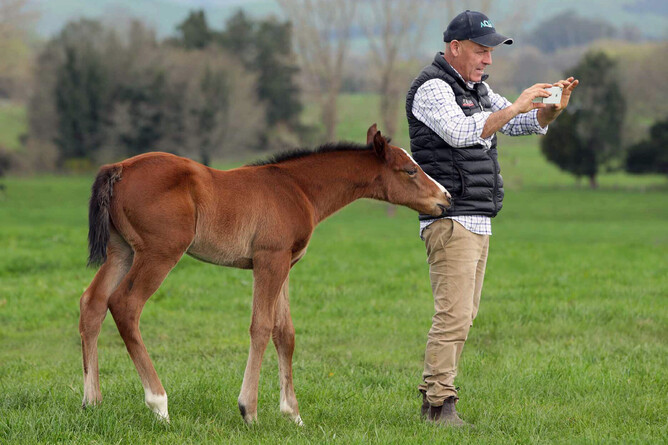 Curraghmore's Gordon Cunningham. - Photo: Trish Dunell