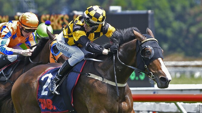 Snazzytavi winning Saturday’s Gr.2 Cal Isuzu Stakes (1600m) at Te Rapa.   - Photo: Kenton Wright (Race Images)