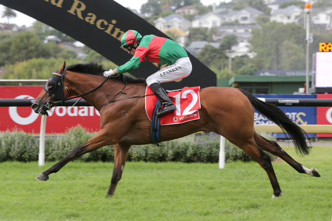 Johnathan Parkes guides Asterix to an upset victory in the Gr.1 Vodafone New Zealand Derby (2400m) at Ellerslie - Photo Credit: Trish Dunell