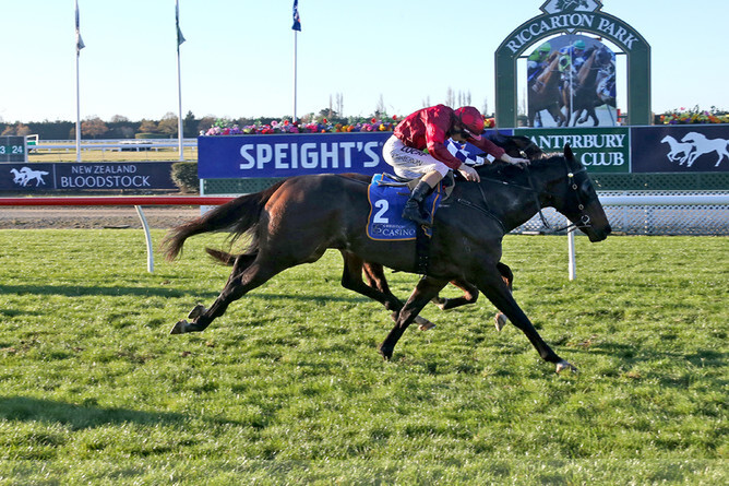 Absolute Excelencia - Photo: Race Images