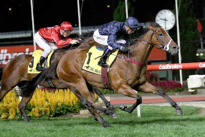 Tulip wins the Gr.3 Typhoon Tracy Stakes - Darryl Sherer