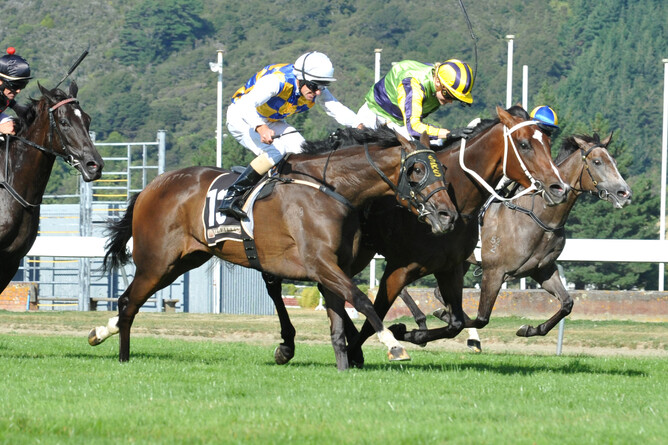 Photo: Race Image PN