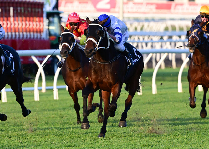 Kovalica takes out the Group 2 Q22 at Eagle Farm under Nash Rawiller. - Photo: Grant Peters