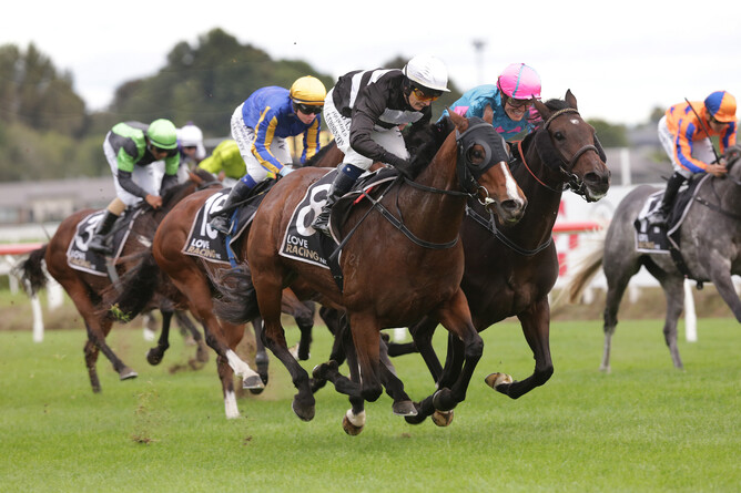 Outback Opal will contest the Gr.2 Travis Stakes (2000m) at Te Rapa on Saturday. - Photo: Trish Dunell