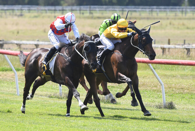 Danjuro (inside) on his way to winning at Tauherinikau on Thursday. Photo: Peter Rubery (Race Images Palmerston North)