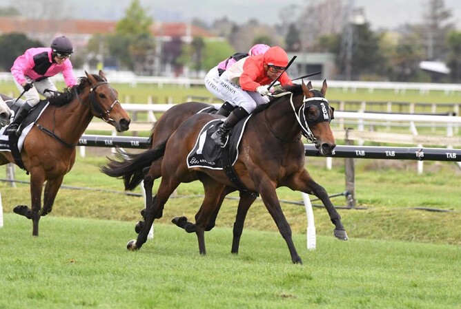 Financier on his way to victory over 1400m at Hastings on Saturday. - Photo: Peter Rubery (Race Images Palmerston North)