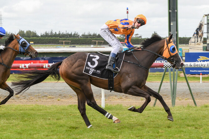 Last start Listed winner Weaponry - NZ Racing Desk