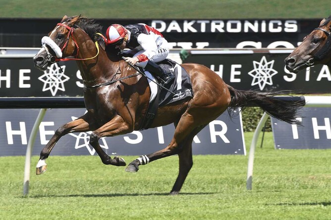 Almost Court led all the way to win the Listed Canberra Cup