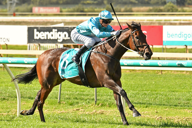 Annavisto winning the Listed Bendigo Guineas (1400m).  - Photo: Quentin Lang