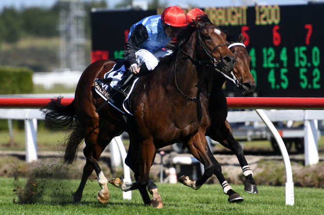 Tevere races home to win at Te Rapa. - Photo: Kenton Wright, Race Images