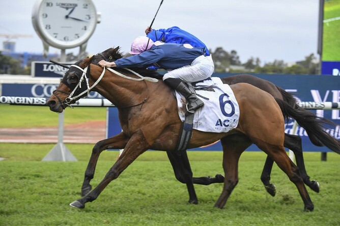 No Compromise will contest the Gr.3 Newcastle Gold Cup (2300m). - Photo: Bradleyphotos.com.au