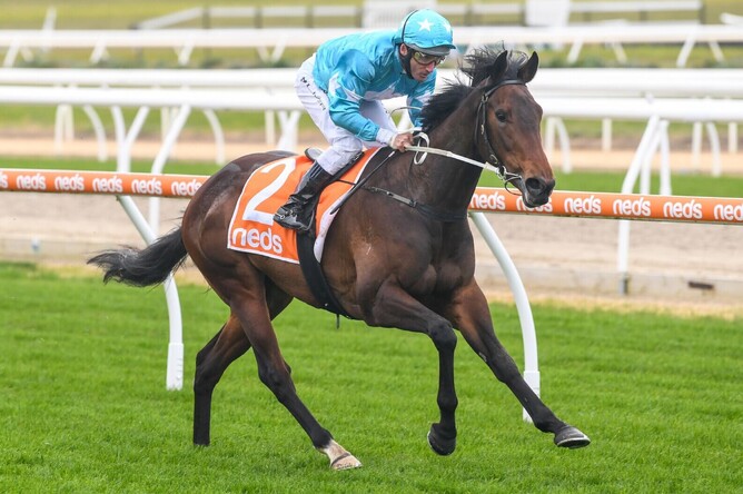 Annavisto has secured some important black-type in the Listed Bendigo Guineas (1600m).